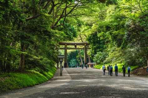 東京 風水|【2024年開運】東京都のパワースポット3選！癒やし。